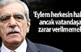 Türk: Eylem herkesin hakkı ancak vatandaşa zarar...