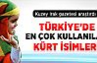 Türkiye'de En Çok Kullanılan Kürt İsmi: Amed