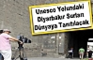 Unesco Yolundaki Diyarbakır Surları Dünyaya Tanıtılacak