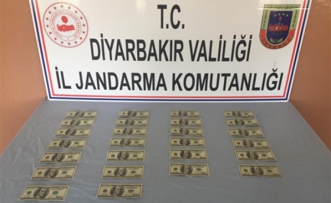 Diyarbakır'da sahte dolar operasyonu